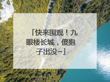快来围观！九眼楼长城，傻狍子出没~
