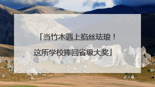 当竹木遇上掐丝珐琅！这所学校捧回省级大奖