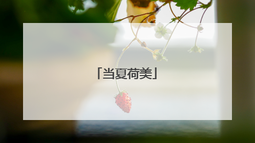 当夏荷美