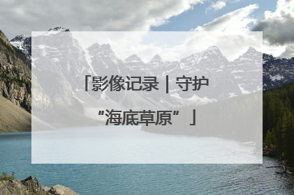 影像记录｜守护“海底草原”
