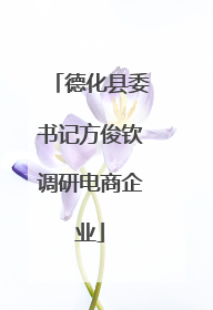德化县委书记方俊钦调研电商企业