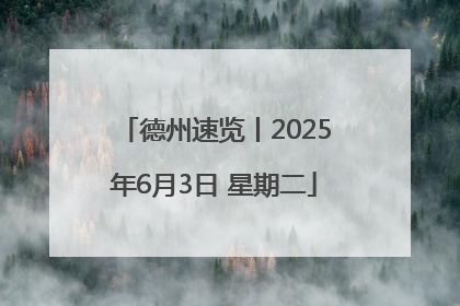 德州速览丨2025年6月3日 星期二