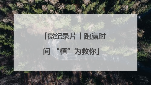 微纪录片丨跑赢时间 “植”为救你