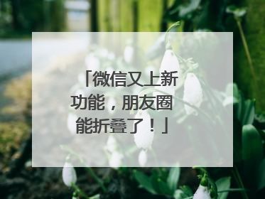 微信又上新功能，朋友圈能折叠了！