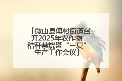 微山县傅村街道召开2025年农作物秸秆禁烧暨“三夏”生产工作会议