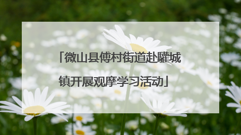 微山县傅村街道赴驩城镇开展观摩学习活动