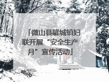 微山县驩城镇妇联开展“安全生产月”宣传活动