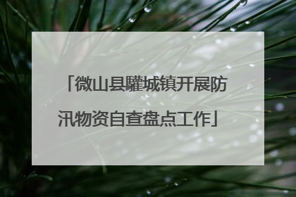 微山县驩城镇开展防汛物资自查盘点工作