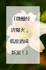 微醺经济爆火，低度酒成新宠！