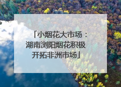 小烟花大市场：湖南浏阳烟花积极开拓非洲市场