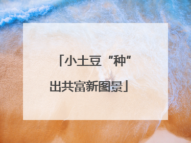 小土豆“种”出共富新图景