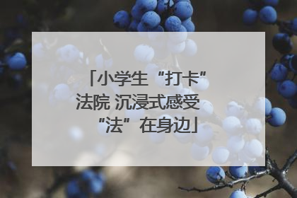 小学生“打卡”法院 沉浸式感受“法”在身边