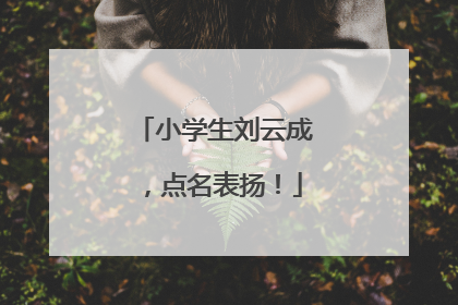 小学生刘云成，点名表扬！