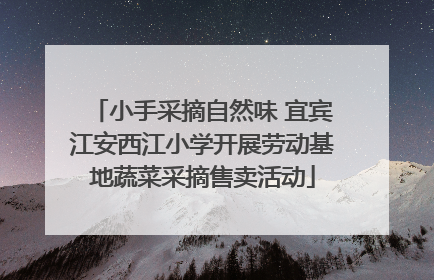 小手采摘自然味 宜宾江安西江小学开展劳动基地蔬菜采摘售卖活动