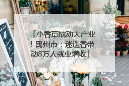 小香草撬动大产业！禹州市：迷迭香带动8万人就业增收