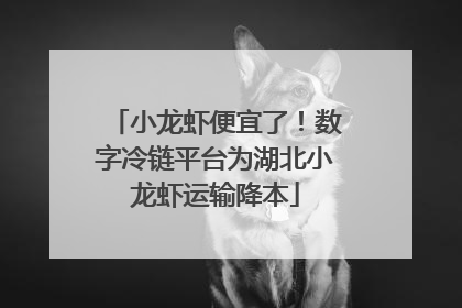 小龙虾便宜了！数字冷链平台为湖北小龙虾运输降本
