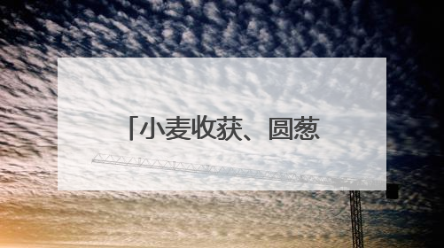 小麦收获、圆葱产销旺、水稻长势好……乡村处处是“丰”景