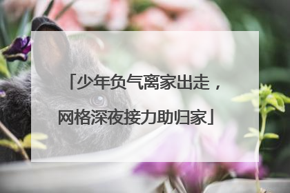 少年负气离家出走，网格深夜接力助归家