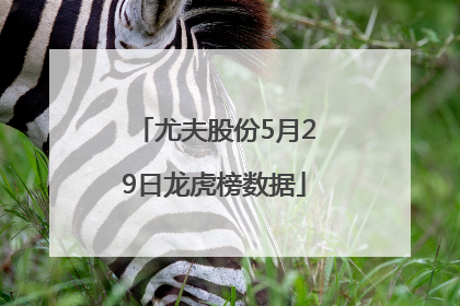 尤夫股份5月29日龙虎榜数据