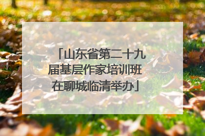 山东省第二十九届基层作家培训班在聊城临清举办