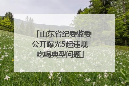 山东省纪委监委公开曝光5起违规吃喝典型问题