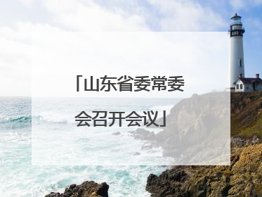 山东省委常委会召开会议