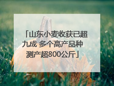 山东小麦收获已超九成 多个高产品种测产超800公斤