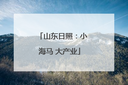 山东日照：小海马 大产业
