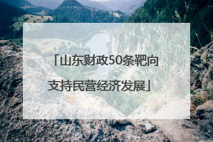 山东财政50条靶向支持民营经济发展