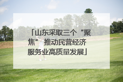 山东采取三个“聚焦” 推动民营经济服务业高质量发展
