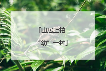 山居上柏 “幼”一村