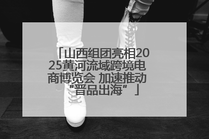 山西组团亮相2025黄河流域跨境电商博览会 加速推动“晋品出海”