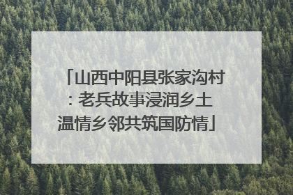 山西中阳县张家沟村：老兵故事浸润乡土 温情乡邻共筑国防情