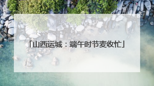 山西运城：端午时节麦收忙
