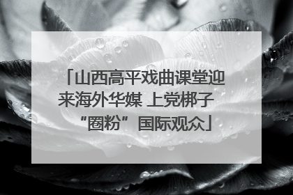 山西高平戏曲课堂迎来海外华媒 上党梆子“圈粉”国际观众