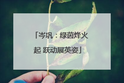 岑巩：绿茵烽火起 跃动展英姿