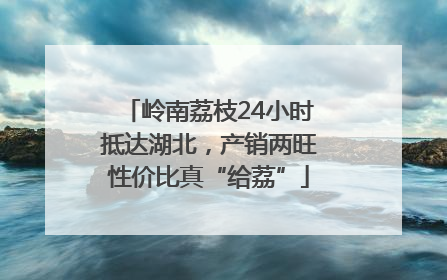 岭南荔枝24小时抵达湖北，产销两旺性价比真“给荔”