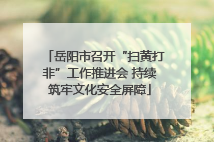 岳阳市召开“扫黄打非”工作推进会 持续筑牢文化安全屏障