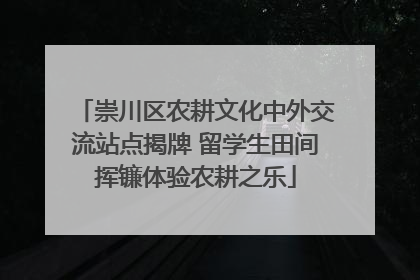 崇川区农耕文化中外交流站点揭牌 留学生田间挥镰体验农耕之乐