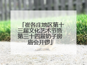 崔各庄地区第十三届文化艺术节暨第三十四届奶子房庙会开锣