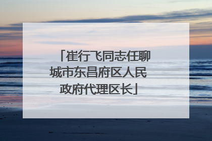 崔行飞同志任聊城市东昌府区人民政府代理区长