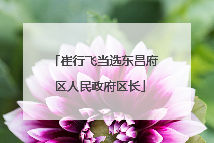 崔行飞当选东昌府区人民政府区长