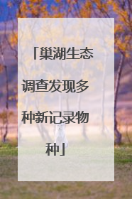 巢湖生态调查发现多种新记录物种