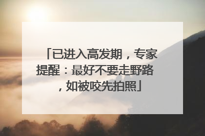 已进入高发期，专家提醒：最好不要走野路，如被咬先拍照