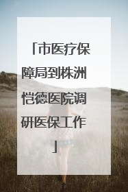 市医疗保障局到株洲恺德医院调研医保工作