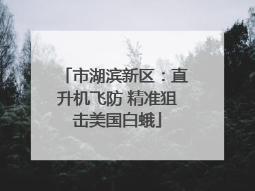 市湖滨新区：直升机飞防 精准狙击美国白蛾