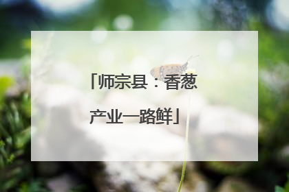 师宗县：香葱产业一路鲜