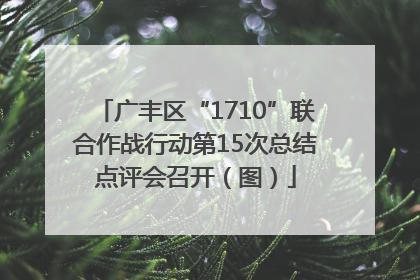广丰区“1710”联合作战行动第15次总结点评会召开（图）