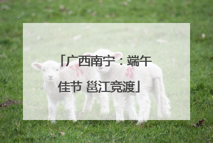 广西南宁：端午佳节 邕江竞渡