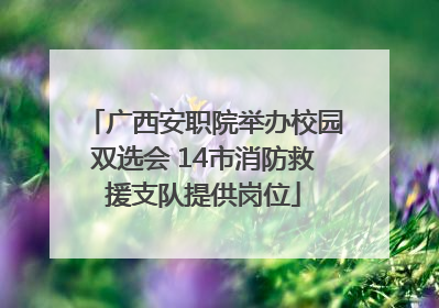 广西安职院举办校园双选会 14市消防救援支队提供岗位